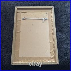 Aston Villa 1981-82 Football Team Framed Photo Signed By 15 Players