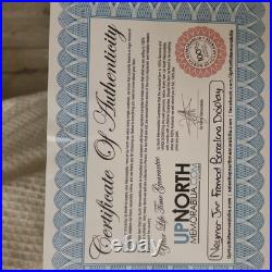 Authentic Hand Signed Neymar Jr 2015 Barcalona Photo