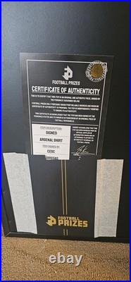 Box Frame Hung Cesc Fabregas Signed Arsenal Shirt 2004-2005