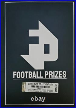 Box Frame Hung Cesc Fabregas Signed Arsenal Shirt 2004-2005