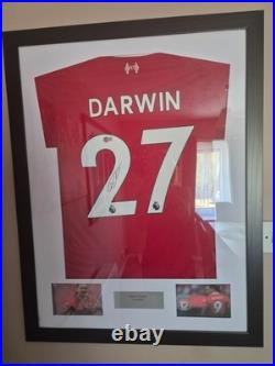 Darwin nunes signed shirt in a frame