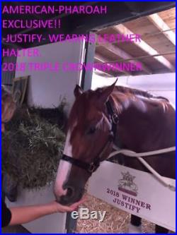 Justify Halter Worn Signed Mike Smith Triple Crown Horse Racing Coa Beckett Wow