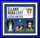 Liam_Cooper_SIGNED_FRAMED_Leeds_United_FC_Street_Sign_Genuine_AFTAL_COA_01_kkze