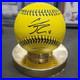 RobertAnthony_Cruz_RAC_Signed_Savannah_Bananas_Team_01_xf