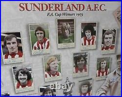 SUNDERLAND 73 F. A CUP-WINNERS SIGNED LIMITED EDITION PRINT original from artist