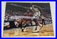 Shaquille_O_Neal_Signed_Photo_COA_01_uf