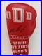 Signed_Daniel_Dubois_Signed_Custom_Glove_COA_Private_Signing_01_pv
